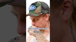 Video post by @beatboxbevs on YouTube