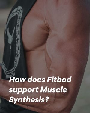 Image post by @fitbodapp on Instagram