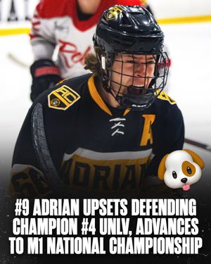 Image post by @hockeyhousepod on Instagram