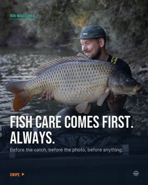Image post by @brothercarp on Instagram