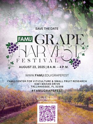 Image post by @famu_1887 on Instagram