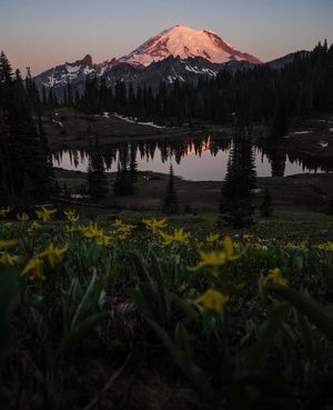 Image post by @nationalparkscollective on Instagram