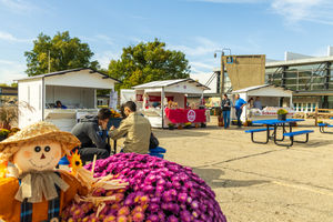 Image post by @wdexpo on Instagram