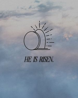 Image post by @thesaltnetwork on Instagram