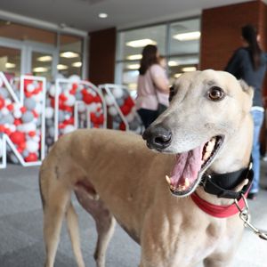 Image post by @uindy on Instagram
