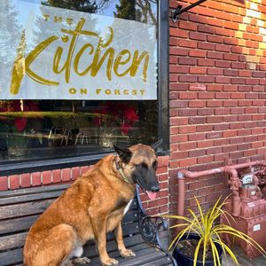 Image post by @kitchenonforest on Instagram