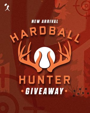 Image post by @baseballism on Instagram