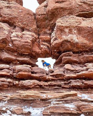 Image post by @tourcolorado on Instagram