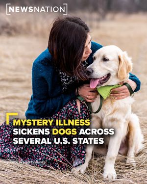 Image post by @newsnationnow on Instagram