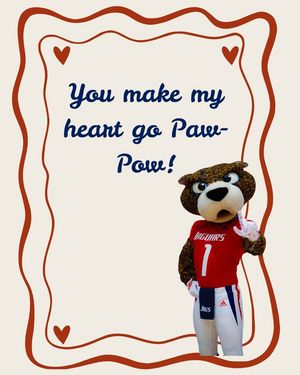 Image post by @southalabama.cheerleading on Facebook
