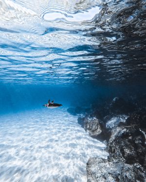 Image post by @gopro on Instagram