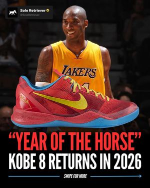 Image post by @soleretriever on Instagram