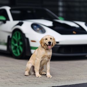 Image post by @porscheexchange on Instagram