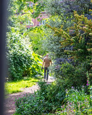 Image post by @gracegoolsbymedia on Instagram