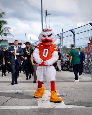 Image post by @um_sebastian on Instagram