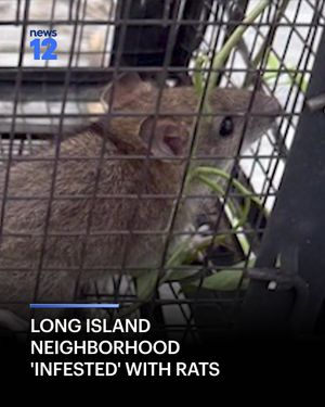Image post by @news12li on Instagram
