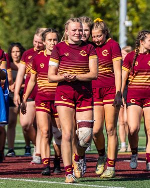 Image post by @the_stingers on Instagram
