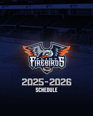 Image post by @flintfirebirds on Instagram