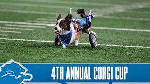 Video post by @detroitlionsnfl on YouTube