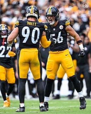 Image post by @steelers on Instagram