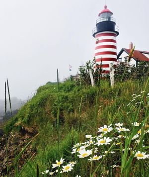 Image post by @themainemag on Instagram