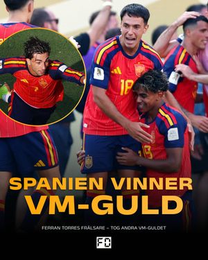 Image post by @fotbolldirekt on Instagram