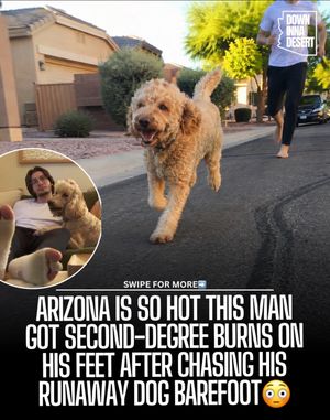 Image post by @downinnadesert on Instagram