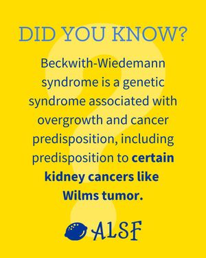Image post by @alexslemonade on Instagram