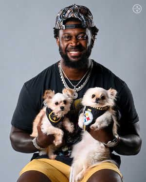 Image post by @steelers on Instagram