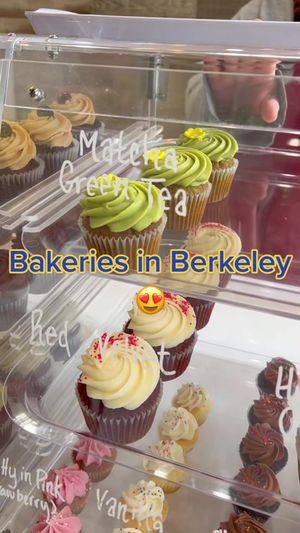 Video post by @ucberkeley on TikTok