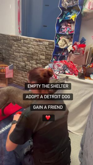 Video post by @DetroitGSD on Facebook