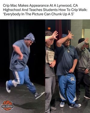 Image post by @nojumper on Instagram