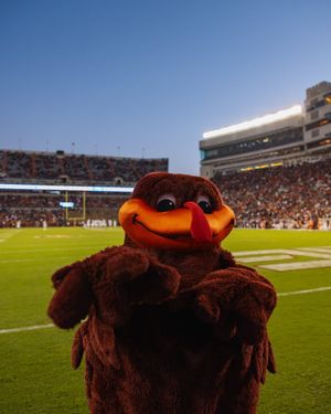 Image post by @virginia.tech on Instagram