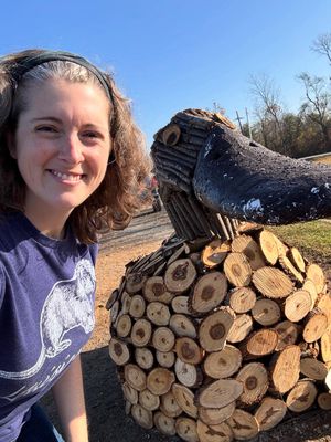 Image post by @annathearcher on Instagram