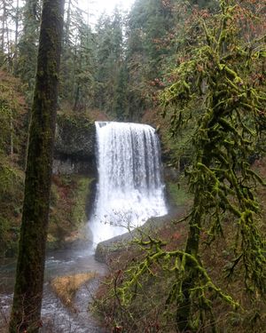 Image post by @picsbywinn on Instagram