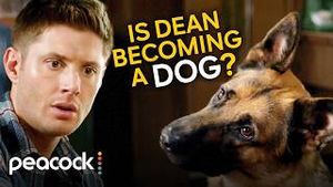 Video post by @peacock on YouTube
