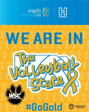 Image post by @wscwildcatvb on Instagram