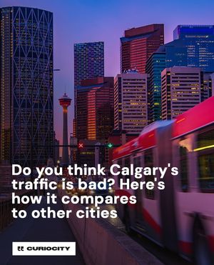 Image post by @curiocitycalgary on Instagram