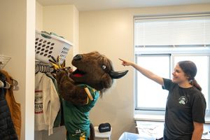 Image post by @ndsubusiness on Instagram