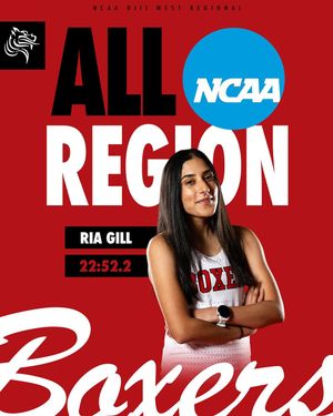 Image post by @boxertfxc on Instagram