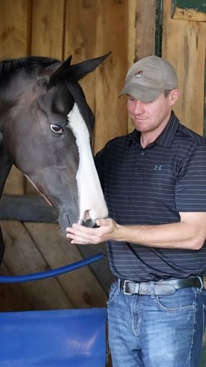 Image post by @thoroughbred_daily_news on Instagram