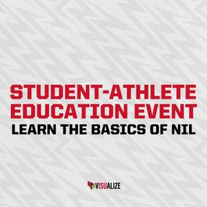 Image post by @visualizenil on Instagram