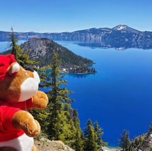 Image post by @bucees on Instagram