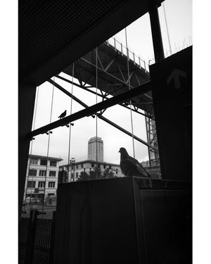 Image post by @leica_camera on Instagram