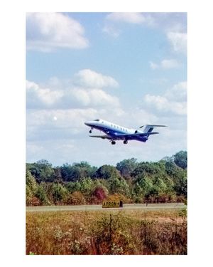 Image post by @the_amato_gallery on Instagram