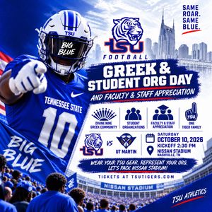 Image post by @tsutigers on Instagram