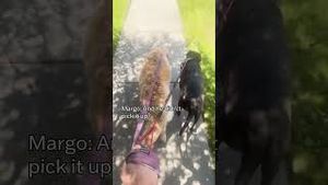 Video post by @denver8tv on YouTube