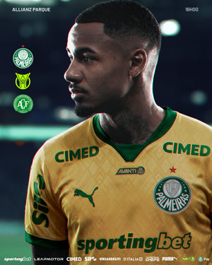 Image post by @palmeiras on Instagram