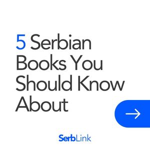 Image post by @serb.link on Instagram