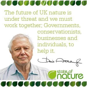 Image post by @rspb on Instagram